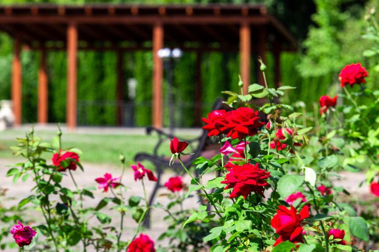 Mineral Spa Draugyste Druskininkai Exterior foto